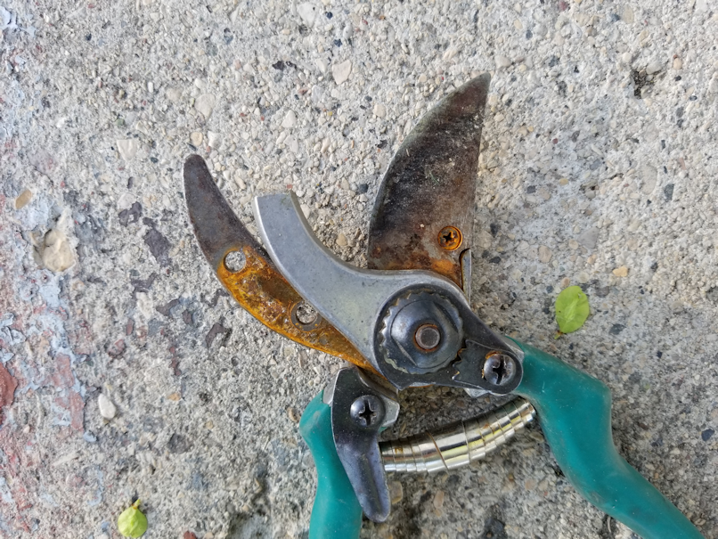 20180521.flower.garden.broken.shears