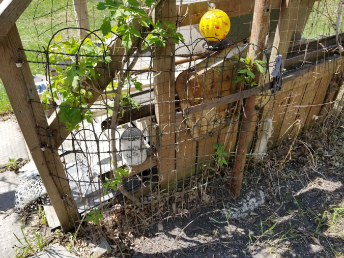 20180521.flower.garden.gate.section