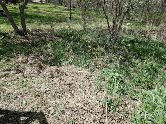 20180521.flower.garden.middle.after