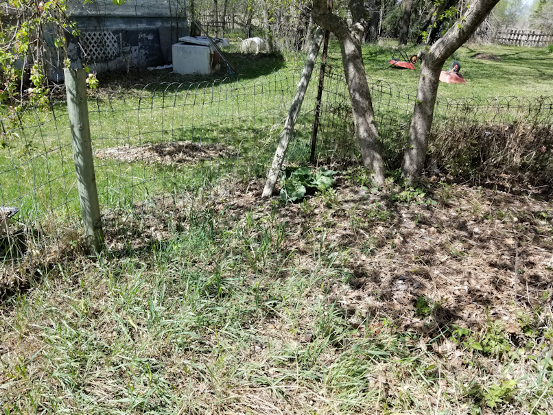 20180521.flower.garden.side.area.before