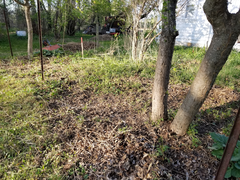 20180521.flower.garden.west.side.after