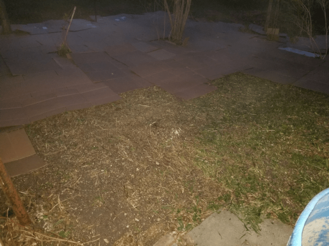 20180522.flower.garden.cardboard.night