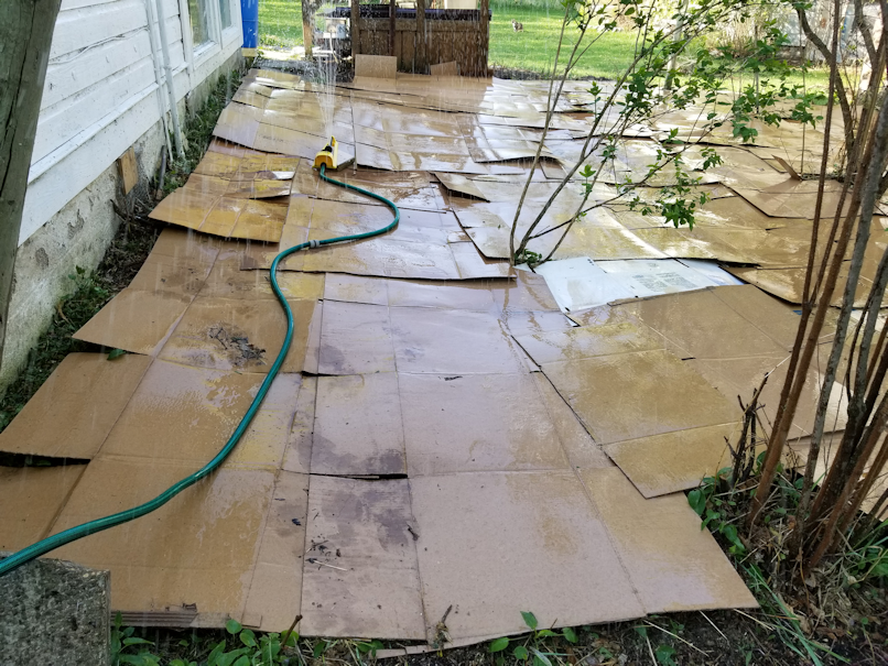 20180522.flower.garden.cardboard.wetting.down1