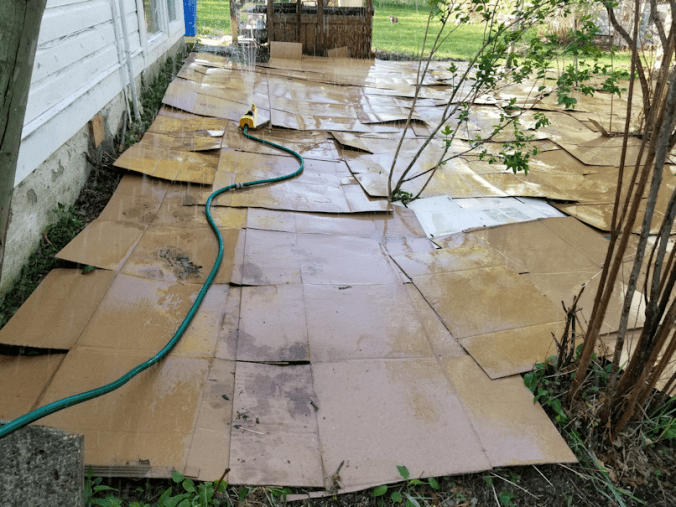 20180522.flower.garden.cardboard.wetting.down1