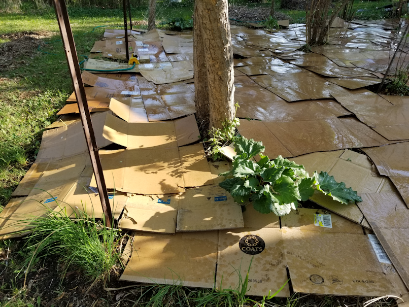 20180522.flower.garden.cardboard.wetting.down2