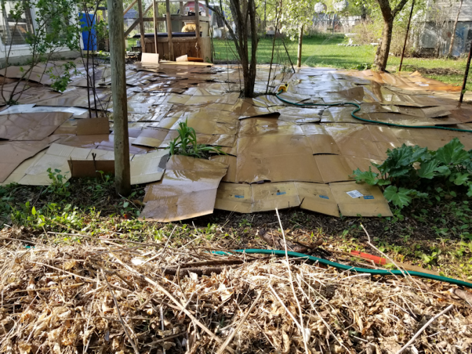 20180522.flower.garden.cardboard.wetting.down3