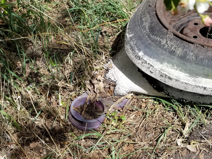 20180522.found.stuff.bowl