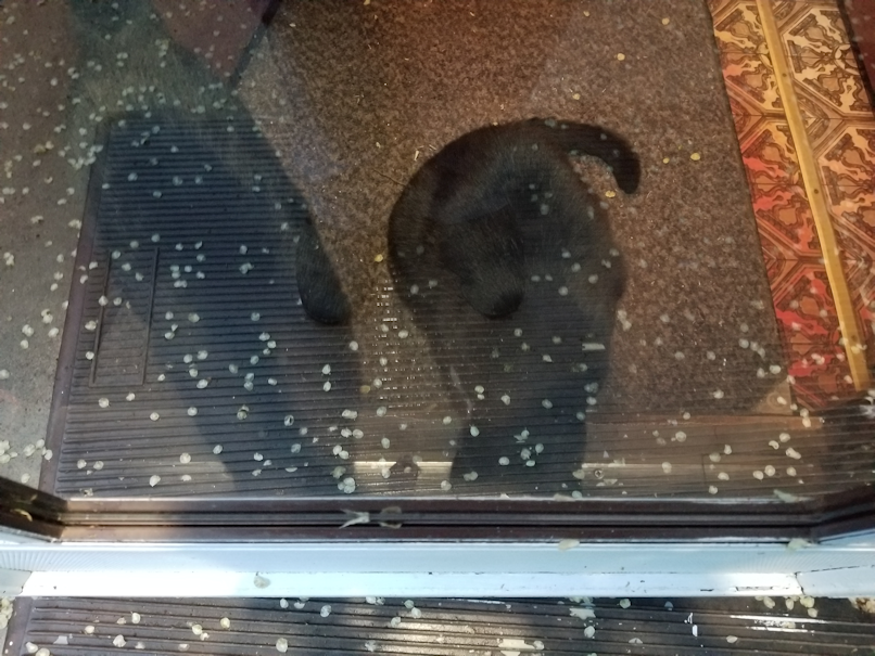 20180529.you.cant.come.in