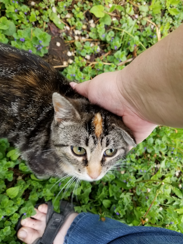 20180530.butterscotch