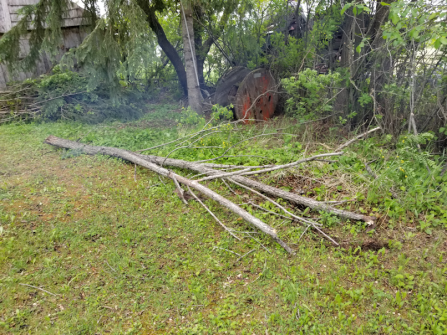 20180601firepit.area.dead.broken.tree