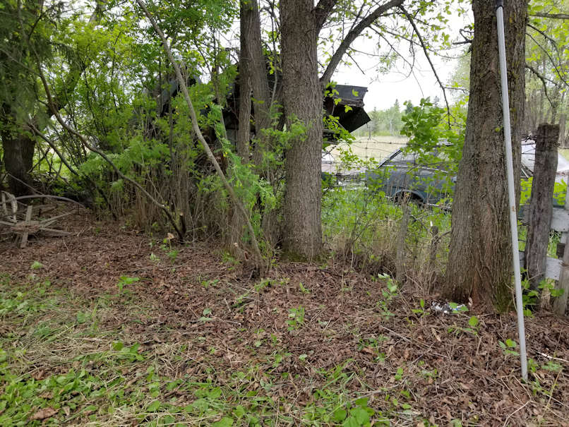 20180601firepit.area.fence.line.after