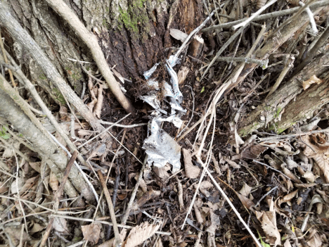 20180601firepit.area.fence.line.cleanup.garbage