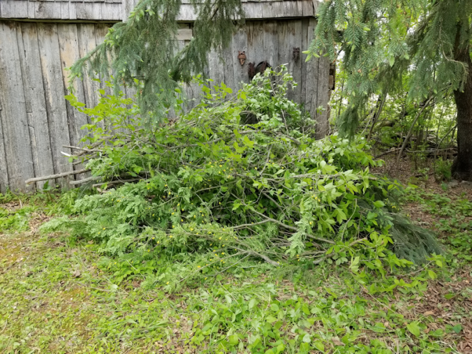 20180601firepit.area.greenwood.pile,finish
