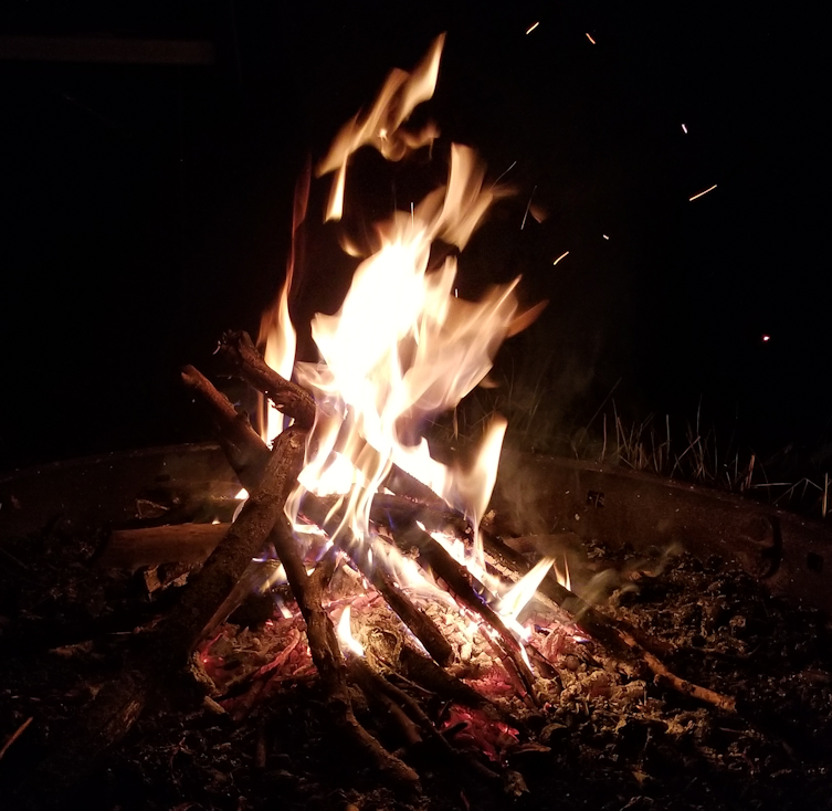 20180603.wierner.roast.fire3