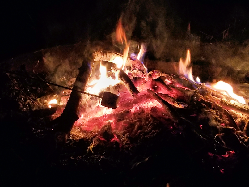 20180603.wierner.roast.fire4