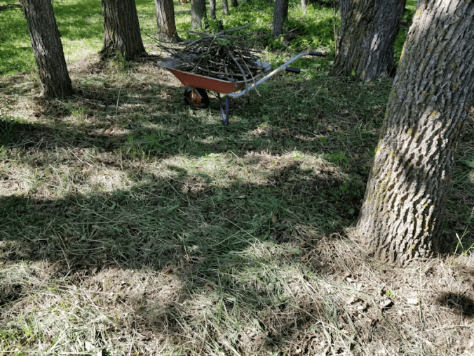 20180605.rectory.cleanup10