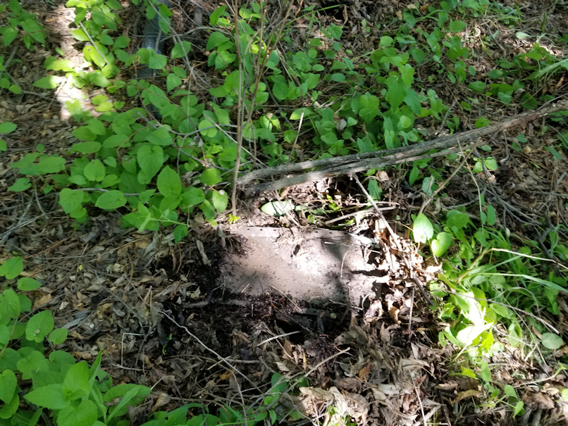 20180605.rectory.cleanup11