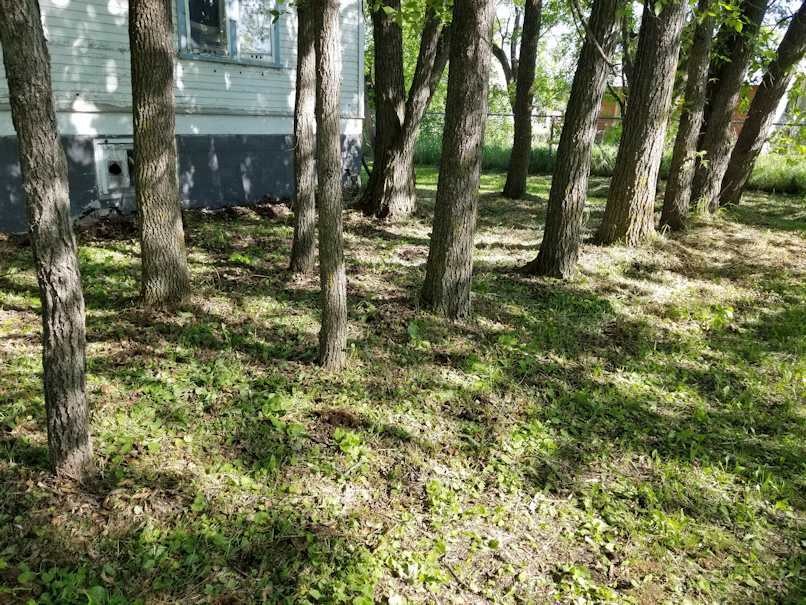 20180605.rectory.cleanup15