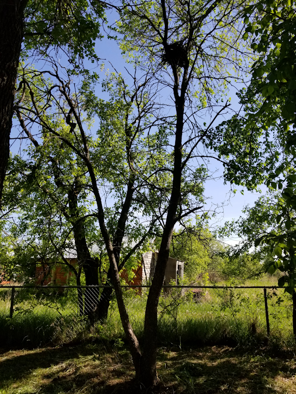 20180605.rectory.cleanup8