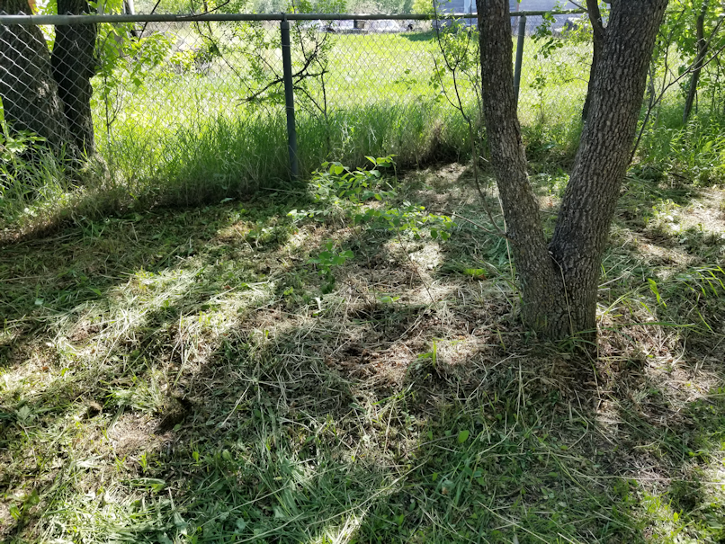 20180605.rectory.cleanup9