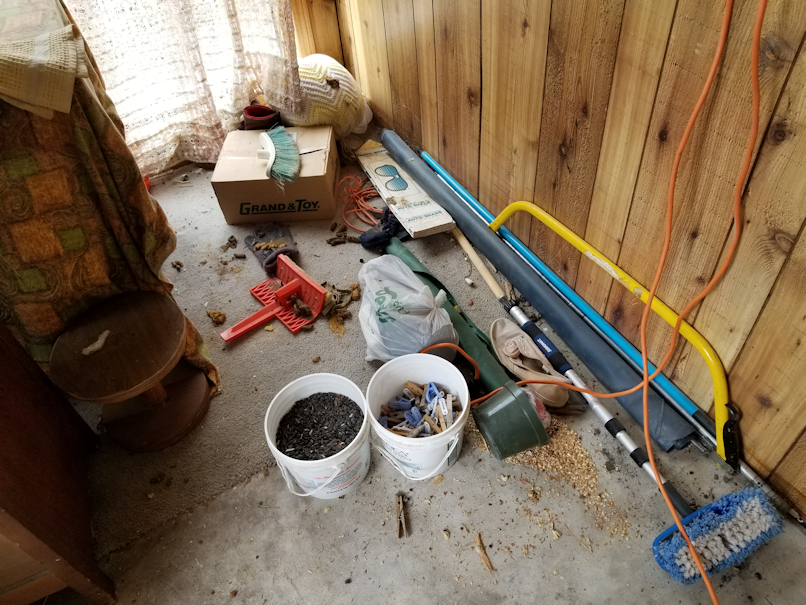 20180608.sunroom.cleanup.westside1.during