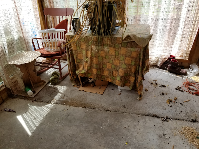 20180608.sunroom.cleanup.westside2.during
