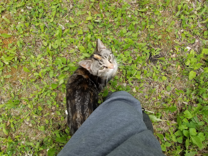 20180609.butterscotch