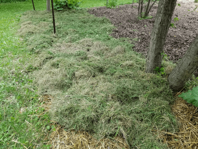 20180609.flower.garden.covered