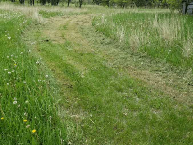 20180609.mowing.back.way