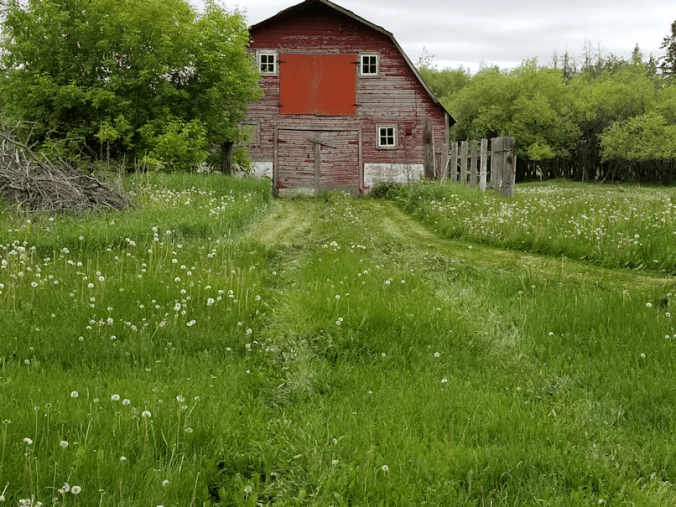 20180609.mowing.barn