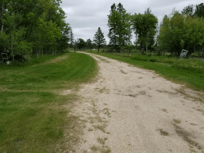 20180609.mowing.driveway