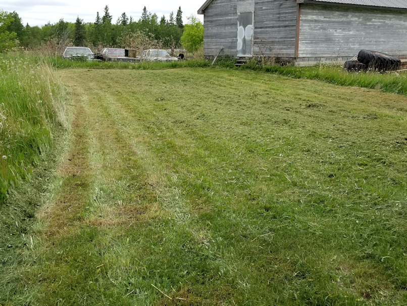 20180609.mowing.shed