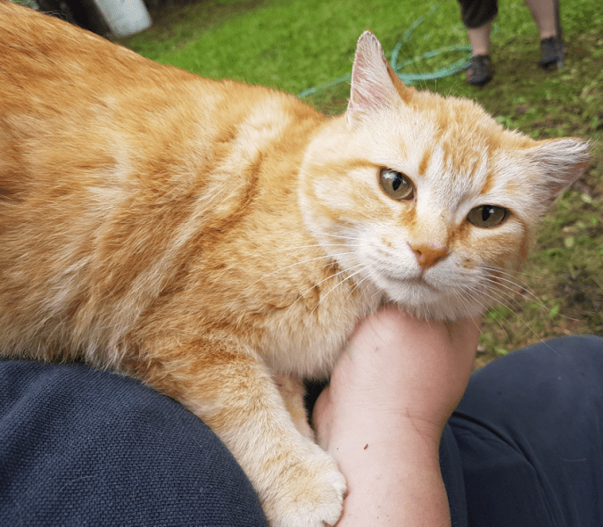 20180611.rolando.mooned1