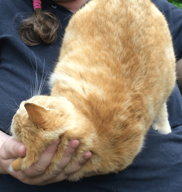 20180611.rolando.mooned2