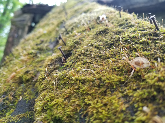 20180611.roof.nails2