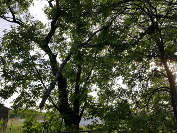 20180613.broken.branch