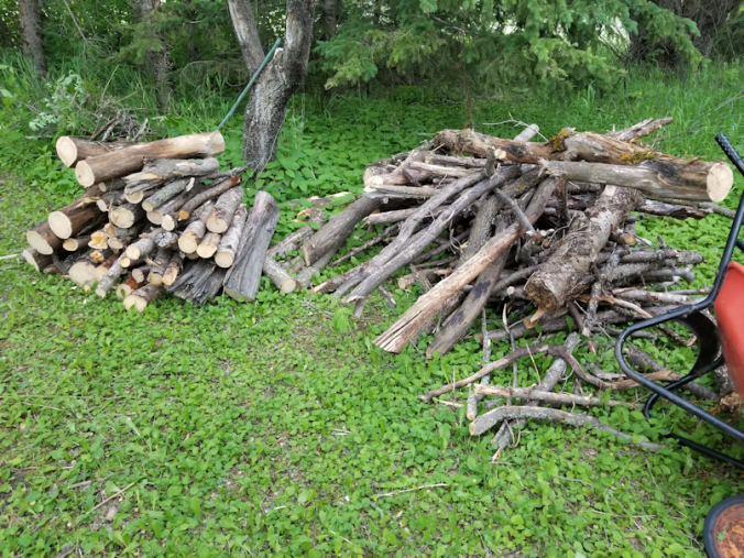 20180613.woodpile.logs