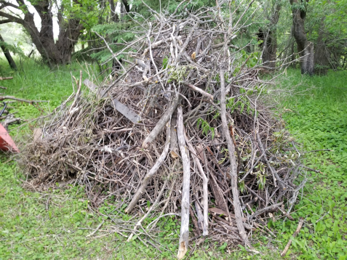 20180613.woodpile.smallstuff