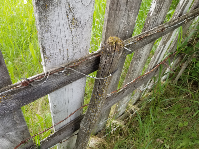 20180614.cleanup.firepitgate2