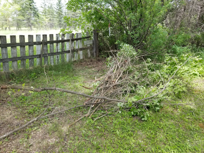 20180614.cleanup.firepitgate3