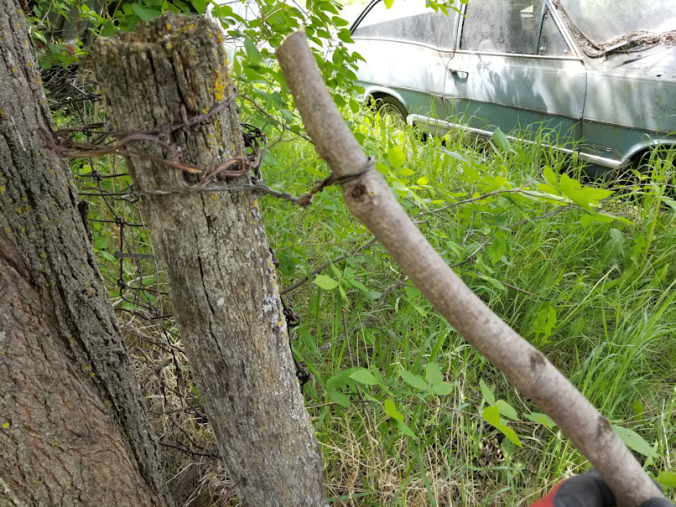 20180614.cleanup.firepitgate8