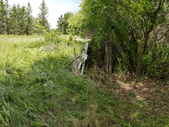 20180614.cleanup.firepitgate9