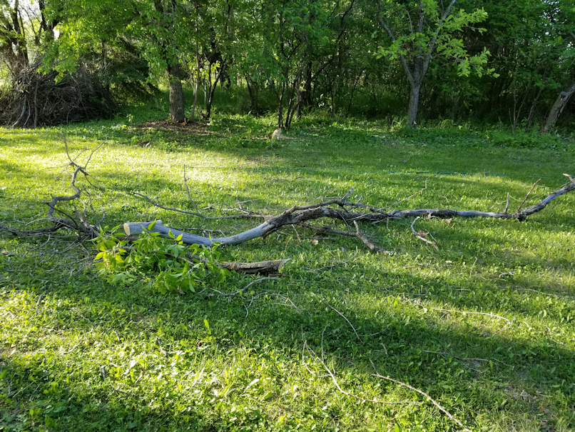 20180615.branches.down