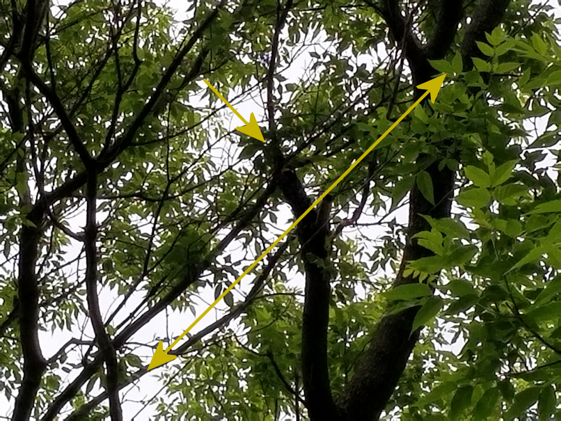 20180616.possoble.source