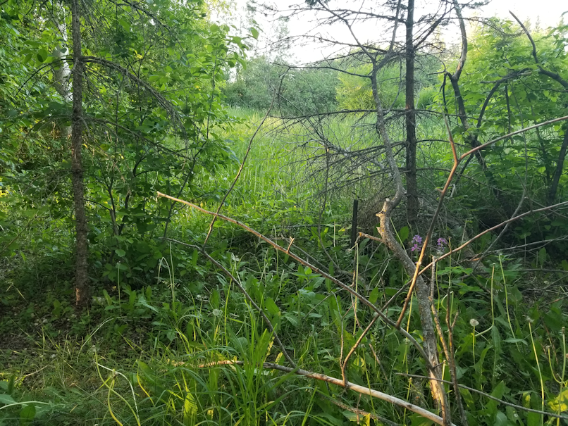 20180617.blocked.path