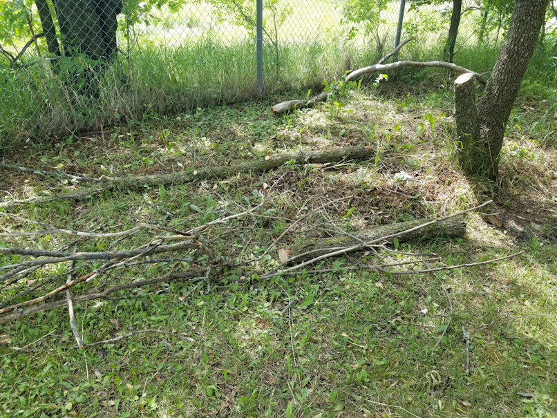 20180623.deadwood.down