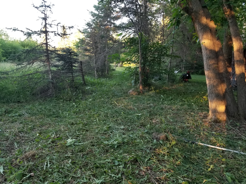 20180630.cleanup.maplegrove.near.gardenpath.lookingeast