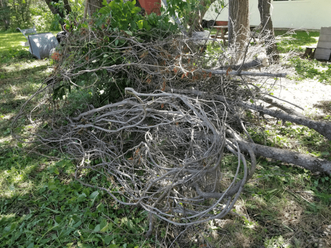 20180702.cleanup.maplegrove.eastend.afternoon.treepile