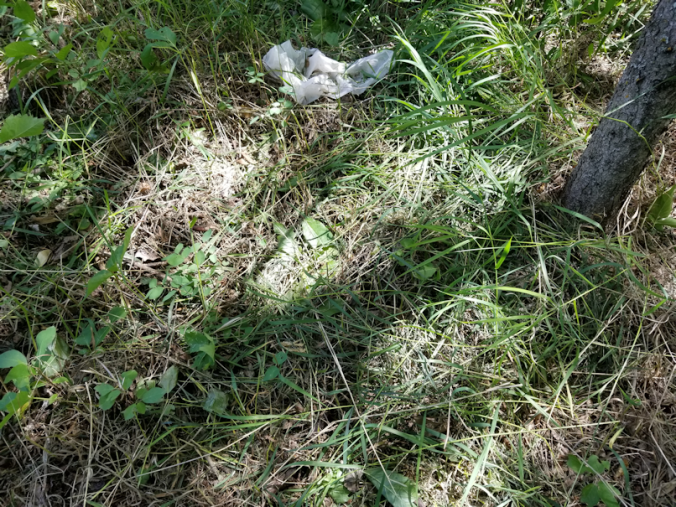 20180702.cleanup.maplegrove.eastend.hiddenstuff