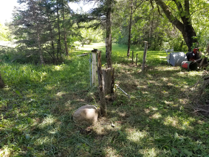 20180702.cleanup.maplegrove.eastend.progress.afternoon